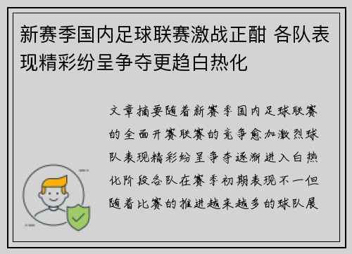 新赛季国内足球联赛激战正酣 各队表现精彩纷呈争夺更趋白热化