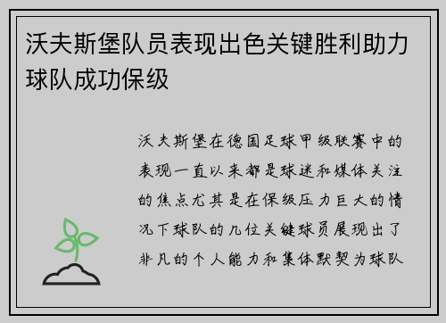 沃夫斯堡队员表现出色关键胜利助力球队成功保级