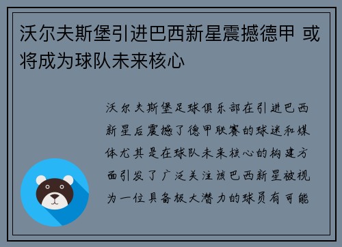 沃尔夫斯堡引进巴西新星震撼德甲 或将成为球队未来核心